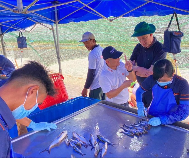 Bộ trưởng Jensen thăm một trang trại nuôi cá tra ở Tiền Giang