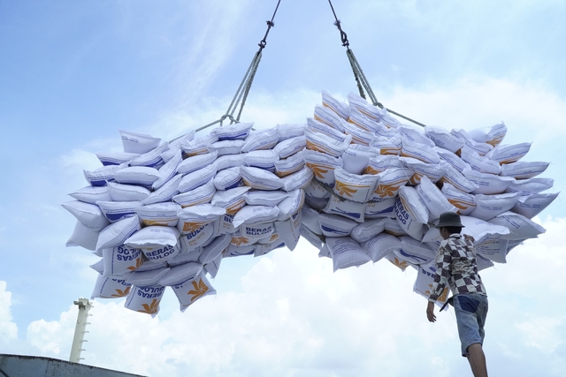 Doanh nghiệp Việt đang phá giá gạo trên thị trường quốc tế