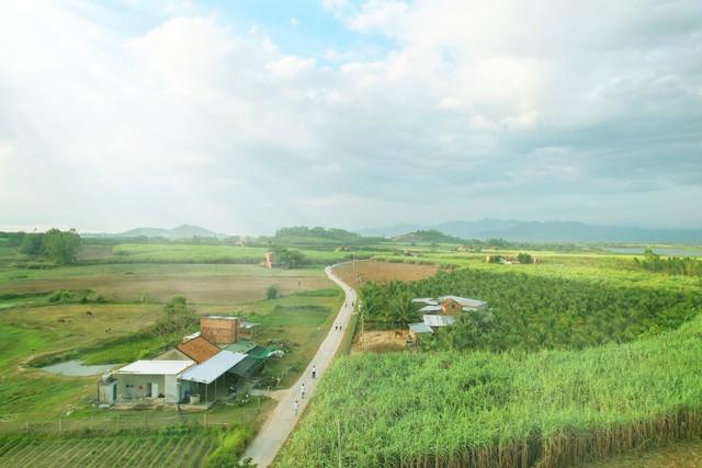 Đường chạy băng qua những cánh đồng mía hứa hẹn mang đến trải nghiệm thú vị cho các VĐV dự giải chạy TTC Agris - Power Racing 2024