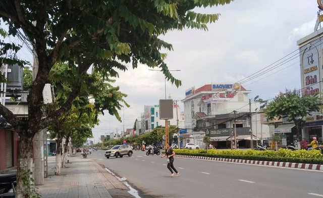 Cây xanh ven đại lộ Đồng Khởi (TP.Bến Tre)