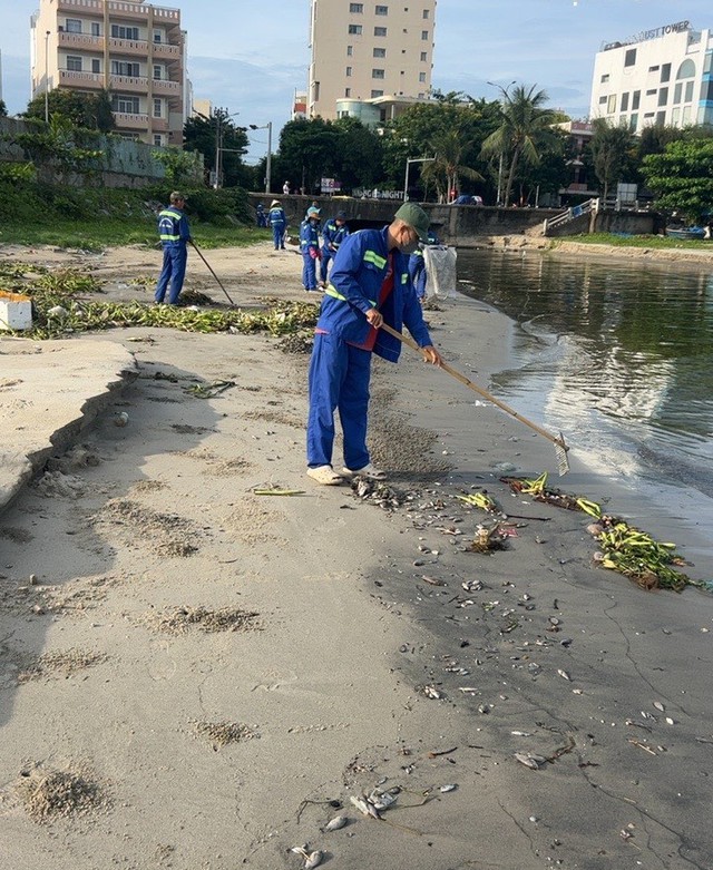 Công nhân dọn vệ sinh bãi biển