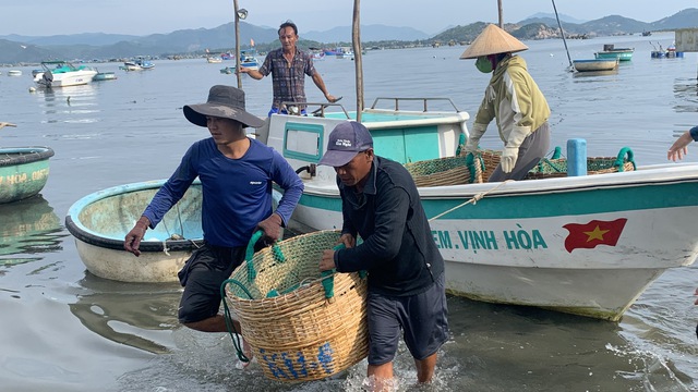 Ngư dân xã Xuân Thịnh đưa tôm, cá vào bờ để bán