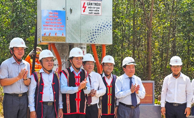 Ông Phạm Anh Tuấn, Chủ tịch UBND tỉnh Bình Định (thứ 3 từ trái qua) lễ khánh thành công trình cấp điện đến làng Canh Giao
