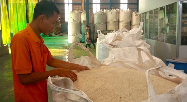 Tỉnh An Giang đề xuất Chính phủ hỗ trợ gần 558.000 tấn gạo để hỗ trợ cho người dân nghèo, có hoàn cảnh khó khăn ở H.An Phú và H.Tri Tôn