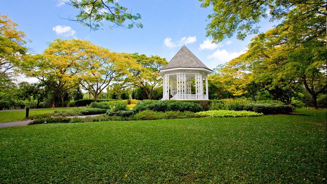 Những khu vườn đẹp tại Singapore du khách không nên bỏ lỡ- Ảnh 3.