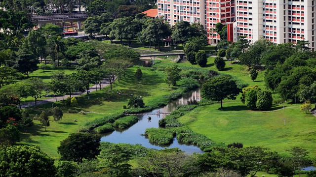 Những khu vườn đẹp tại Singapore du khách không nên bỏ lỡ- Ảnh 4.