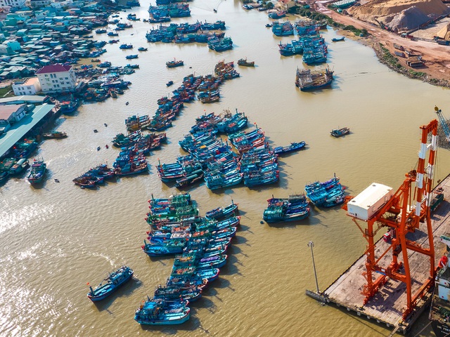 Toàn bộ tàu cá neo đậu tại cảng cá Quy Nhơn sẽ được di dời về neo đậu tại khu vực đầm Đề Gi