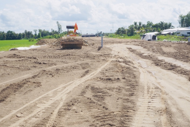 Hỗ trợ cho nông dân Hậu Giang có lúa bị nhiễm mặn ven đường cao tốc- Ảnh 3.