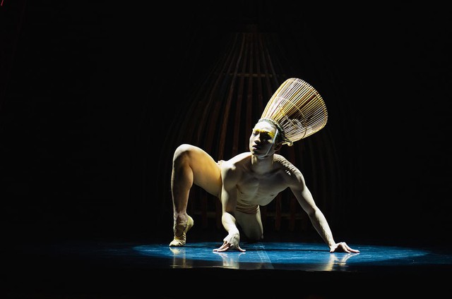 Nơm bắt cá, chiếu quạt lên sân khấu ballet Việt- Ảnh 1.