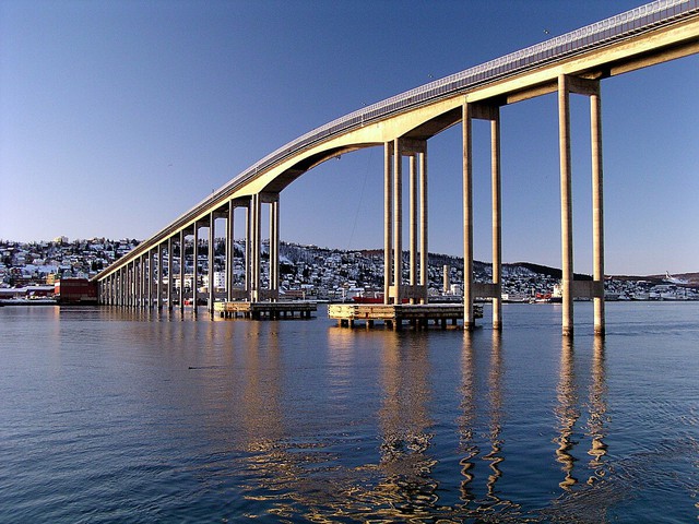 Những cầu cây 'độc lạ' tại Na Uy khiến du khách trầm trồ- Ảnh 1.