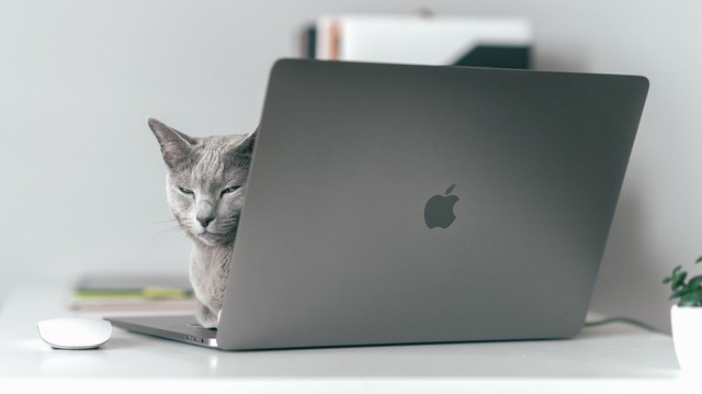 Cách khắc phục lỗi MacBook không báo thức khi ở chế độ ngủ- Ảnh 1.