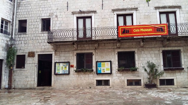 Tới thăm bảo tàng mèo, bãi biển, di sản cổ kính của thành phố Kotor, Montenegro- Ảnh 5.