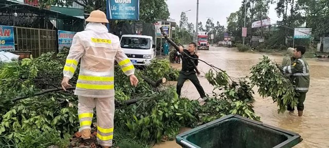 Lâm Đồng: Mưa lớn kèm gió giật làm tốc 11 mái nhà, gãy hàng chục cây xanh- Ảnh 3.