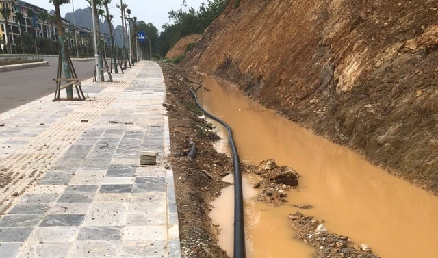 Sonasea Vân Đồn Harbor City bạt rừng lắp ống dẫn nước: Chính quyền lập đoàn kiểm tra- Ảnh 3.