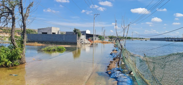 Khu dân cư ở Ninh Thuận bị ngập úng giữa mùa khô hạn- Ảnh 1.