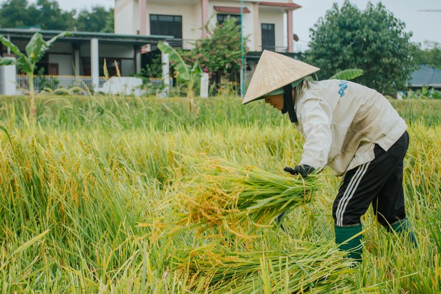 Cơn 