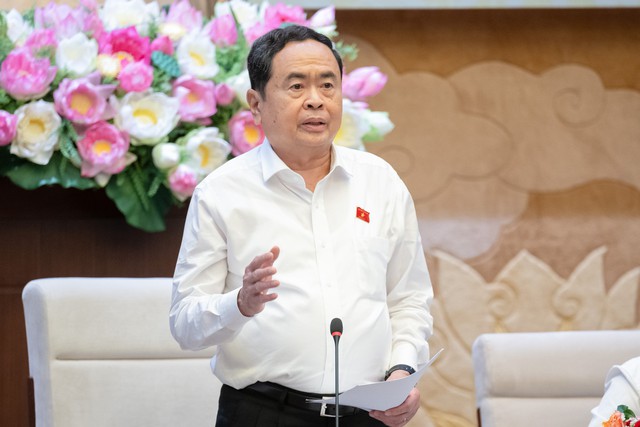 Phó chủ tịch thường trực Quốc hội Trần Thanh Mẫn phát biểu chỉ đạo tại phiên họp
