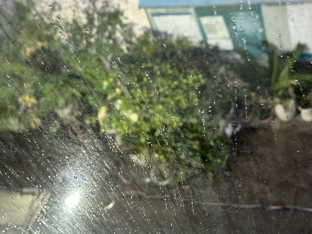 Sáng sớm nay TP.HCM có mưa, nắng nóng hạ nhiệt- Ảnh 1.