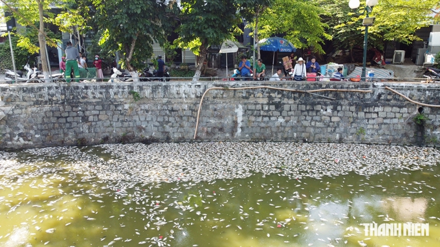 Cá chết nhiều khiến khu vực quanh hồ Bàu Sen bốc mùi hôi