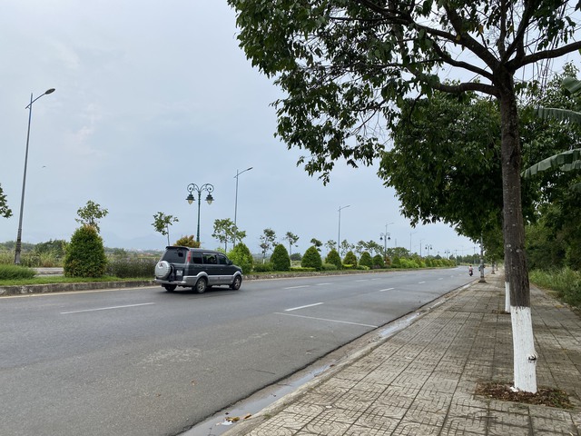 Một tuyến đường ở TP.Quảng Ngãi được trồng cây xanh rất đẹp