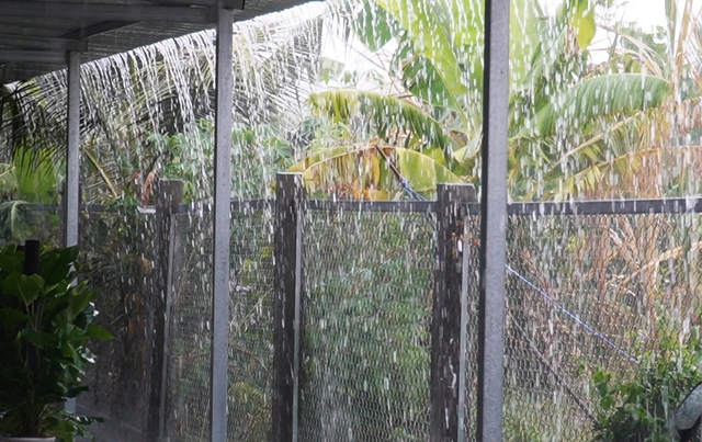 Cơn mưa làm giải nhiệt thời tiết nóng bức  thời gian qua trên địa bàn tỉnh Cà Mau
