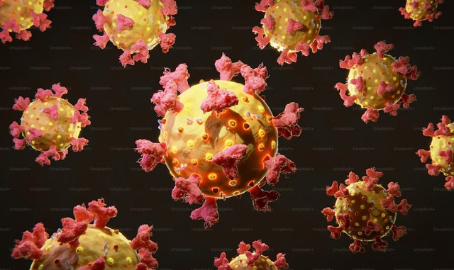 Vitamin D có thể ngăn chặn sự phát triển của khối u và làm cho thuốc điều trị ung thư hoạt động tốt hơn