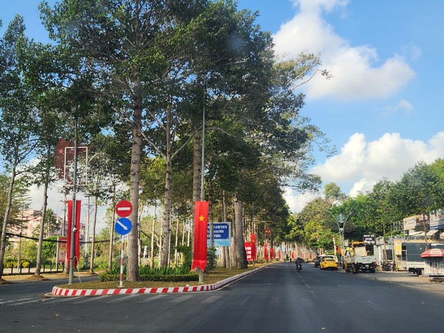 Công ty TNHH Công Minh Cây Xanh trúng nhiều gói thầu chăm sóc cây xanh tại Trà Vinh