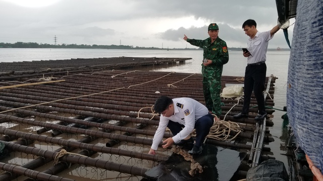 Lực lượng chức năng kiểm tra các bè nuôi trồng thủy sản trái phép trên sông Bạch Đằng ngày 6.5