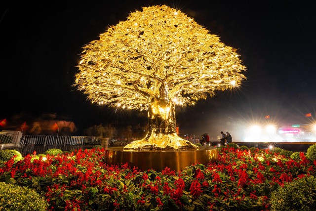 Cây bồ đề vàng đặt trang trọng tại quảng trường Tây Bổ Đà Sơn