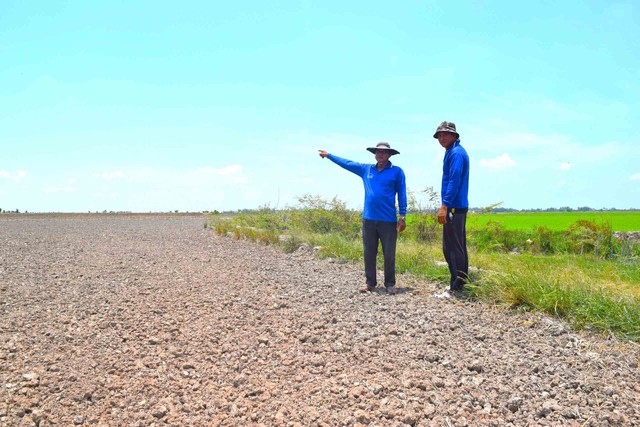 Người dân bỏ khoảng 180 ha đất không gieo sạ vụ lúa hè thu để phản đối chủ Trạm bơm Tân Hòa thu giá bơm nước quá cao