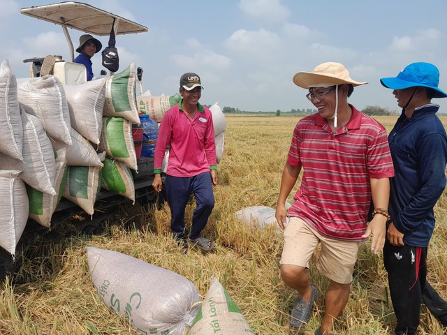 Làm nông thức thời: 'Phục hưng' trồng lúa sinh thái- Ảnh 5.