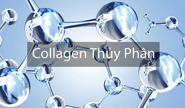 Collagen là gì? Tiêu chí lựa chọn collagen hiệu quả mà không gây nóng, không tăng cân - Ảnh 3.