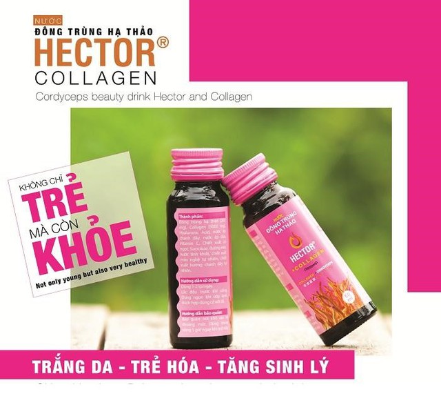 Collagen là gì? Tiêu chí lựa chọn collagen hiệu quả mà không gây nóng, không tăng cân - Ảnh 7.