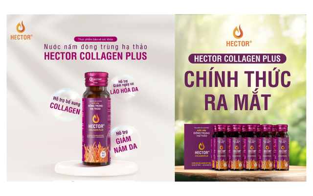 Collagen là gì? Tiêu chí lựa chọn collagen hiệu quả mà không gây nóng, không tăng cân - Ảnh 11.