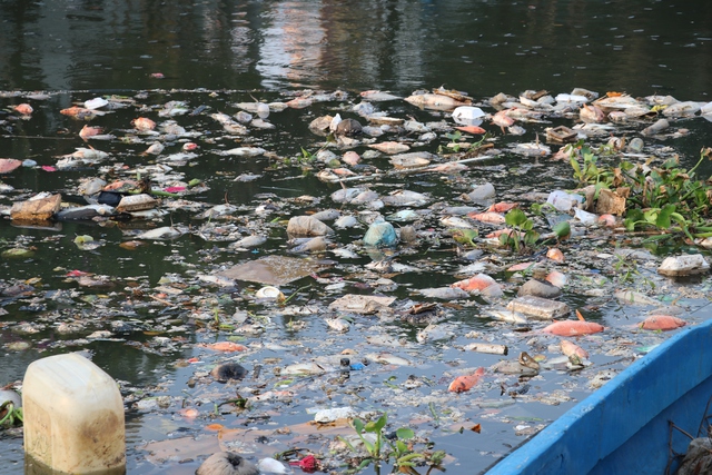 Cá chết hàng loạt ở kênh Nhiêu Lộc - Thị Nghè sau những cơn mưa chuyển mùa- Ảnh 4.