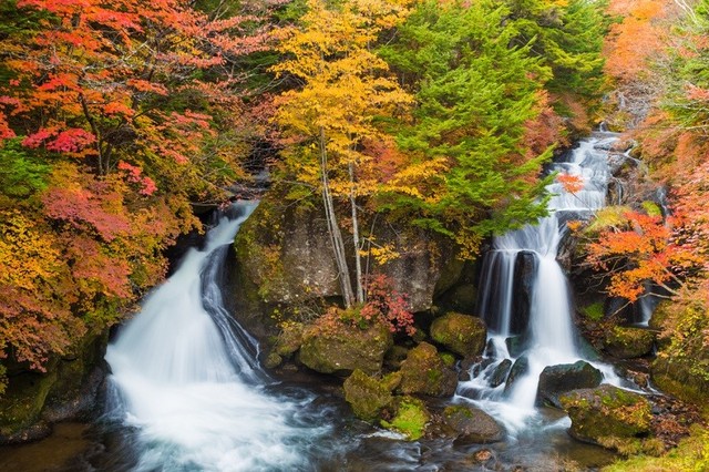 Chiêm ngưỡng 5 thác nước đẹp như tiên cảnh tại Nhật Bản- Ảnh 3.