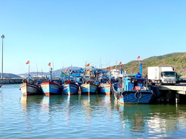 Tàu cá của ngư dân đang neo đậu tại một cảng cá ở Bình Định
