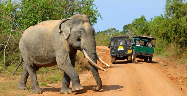 'Easy to get addicted' places when traveling in Sri Lanka - Photo 4.