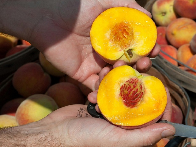 4 loại trái cây vào mùa hè cực tốt cho tim mạch- Ảnh 1.