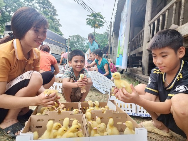 Tập đoàn Mavin trao sinh kế, góp phần giúp nông dân Quan Hóa thoát nghèo- Ảnh 4.