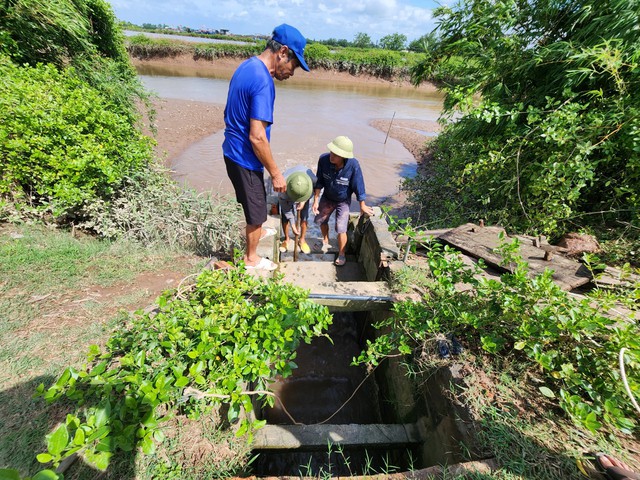 Sau bài viết trên Thanh Niên, Nam Định đã lập lại an ninh trật tự tại bãi đầm- Ảnh 3.