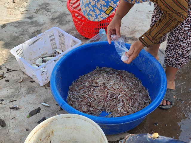 Sau bài viết trên Thanh Niên, Nam Định đã lập lại an ninh trật tự tại bãi đầm- Ảnh 5.