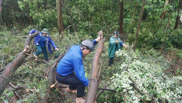 Leo đồi, vượt núi hỗ trợ thi công đường dây 500 kV mạch 3- Ảnh 1.