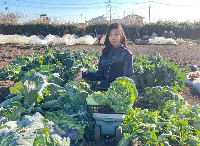 Lấy chồng tại Nhật Bản, cô gái trồng vườn rau xanh mướt như ở Việt Nam- Ảnh 1.