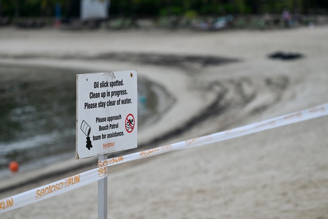 Singapore phong tỏa bãi biển đảo Sentosa vì dầu loang- Ảnh 1.