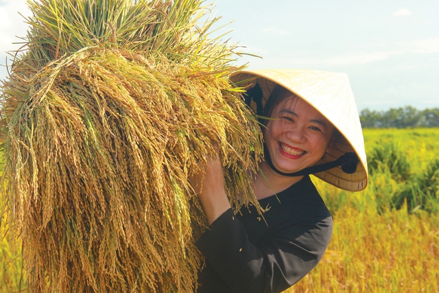 'Quê lúa' Hải Lăng yên bình…!- Ảnh 1.