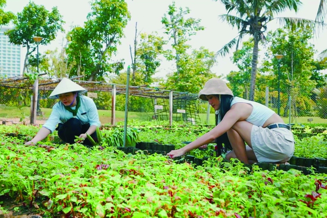 Du lịch xanh tại quần thể du lịch quốc tế Furama - Ariyana Đà Nẵng- Ảnh 2.