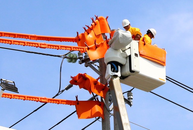 Công ty Điện lực Ninh Thuận: Đưa đội thi công sửa chữa Hotline 22kV vào hoạt động- Ảnh 1.