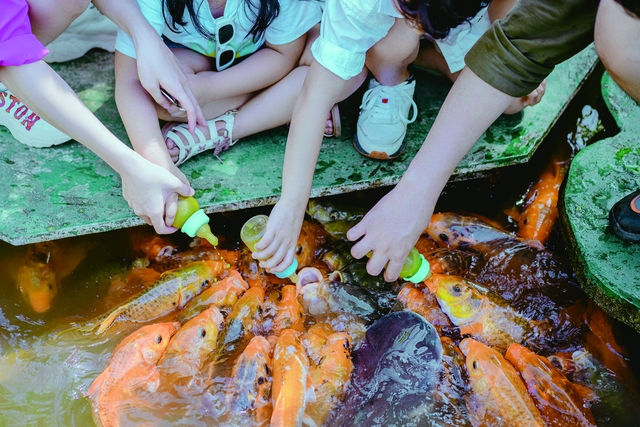 Yang Bay - Vẻ đẹp bình yên chốn đại ngàn- Ảnh 2.