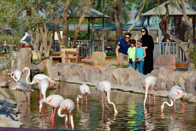 When traveling to Bahrain, you should not miss these attractions - Photo 4.